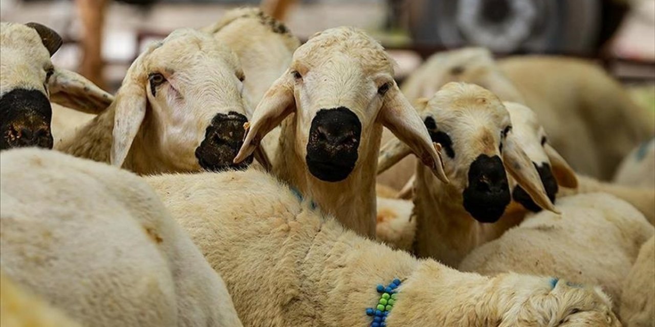 Kurban Hizmetlerinin Uygulanmasına Dair Tebliğ, Resmi Gazete'de