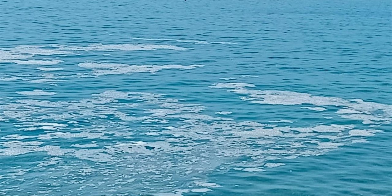 Yalova'nın Armutlu Kıyılarında Müsilaj Görüldü