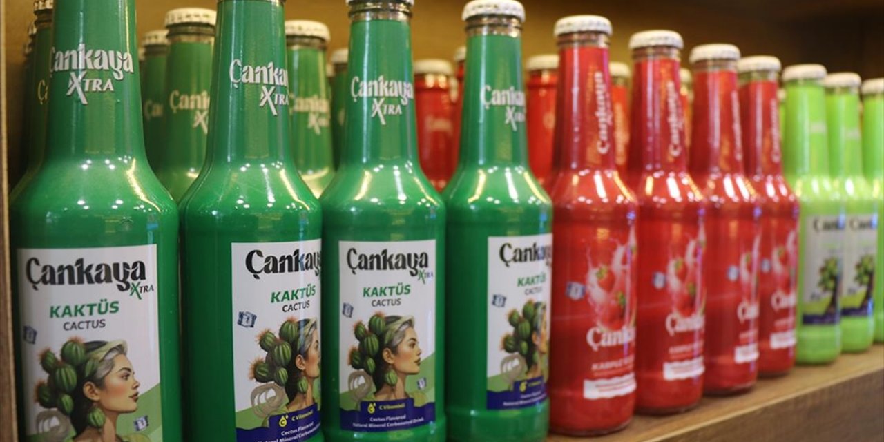 Gaziantep'te Genç Girişimci Nostaljik Yerli Gazozları Raflara Taşıdı