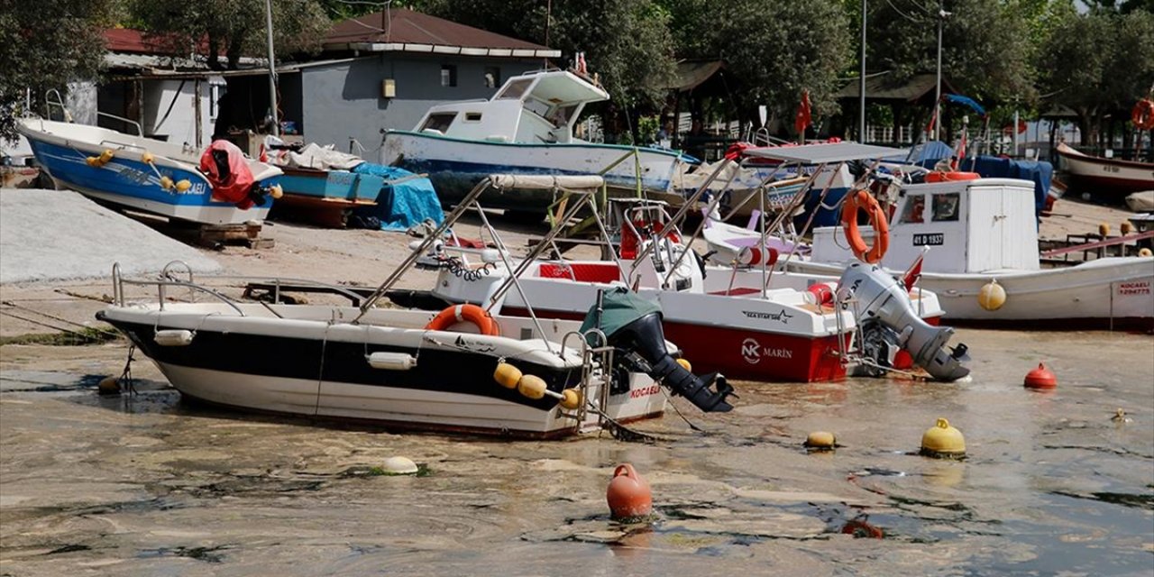 İzmit Körfezi'nde Oluşan Köpüksü Tabakanın Temizlenmesi İçin Çalışma Başlatıldı