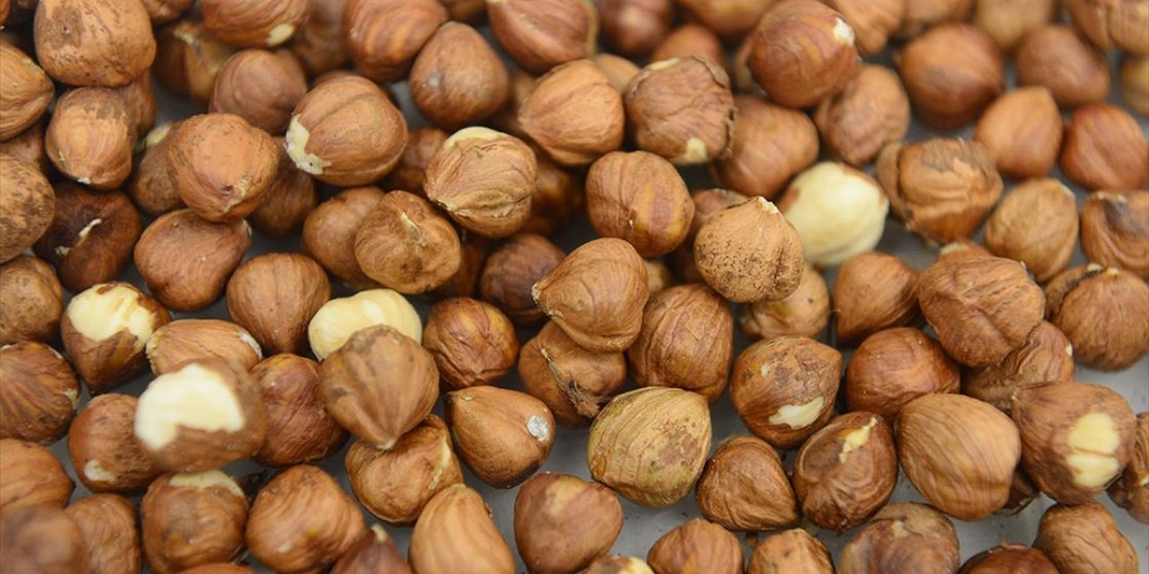 Ticaret Borsalarında 8 Ayda 550 Bin Tonu Aşkın Fındık İşlem Gördü