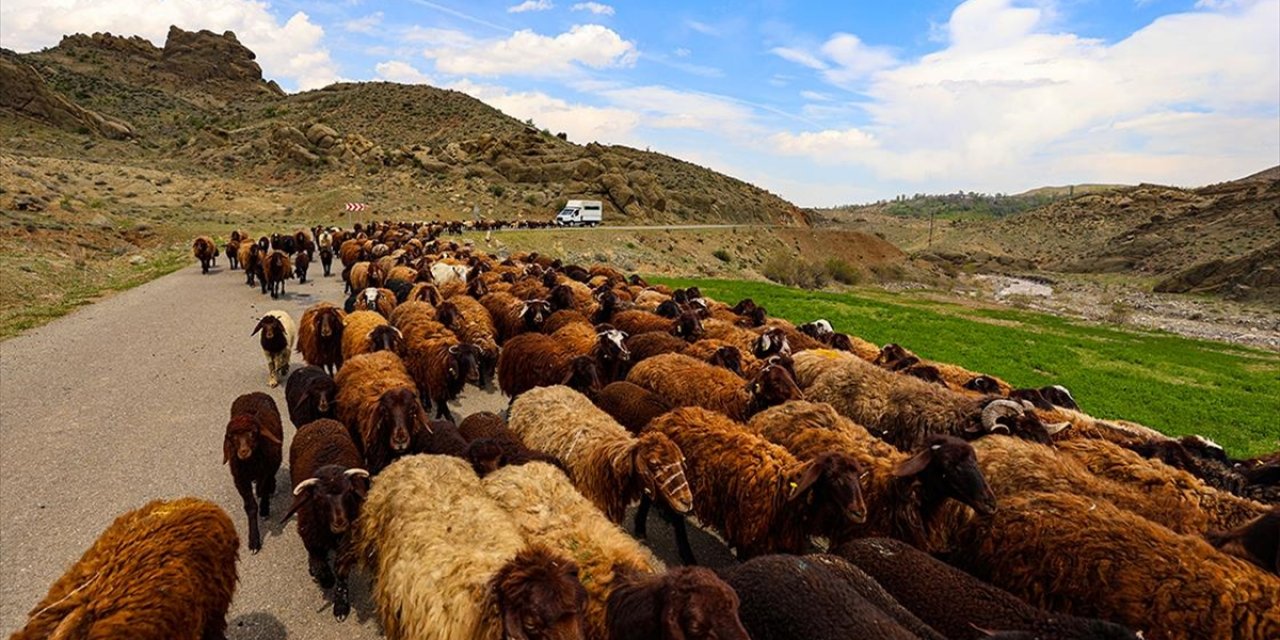 Havaların Isınmasıyla Iğdır'dan Yaylalara, Göçerlerin "Kontrollü" Çıkışı Başladı