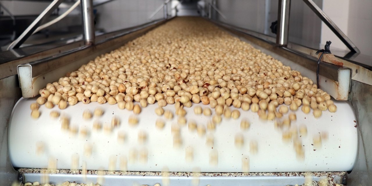 Tarım, Gıda ve İçecek Sektöründen İlk Çeyrekte 7,1 Milyar Dolar İhracat