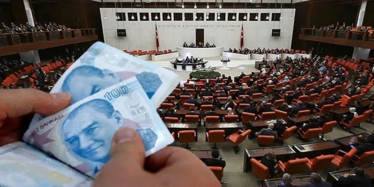 TBMM'de Kabul Edildi: Cezası 15 Bin Lira