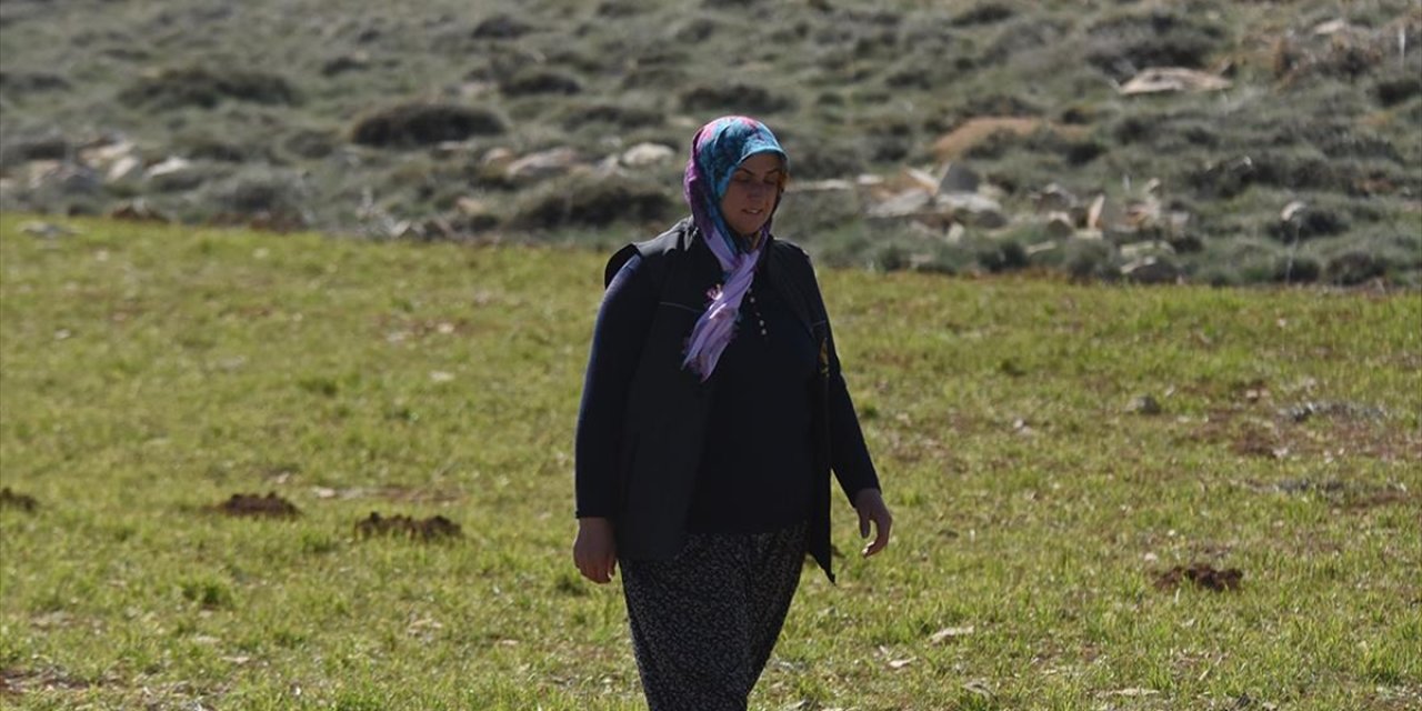 Eşinin Vefatının Ardından Tek Başına Çiftçilik Yapan Kadın, Eğitimini de Aksatmıyor
