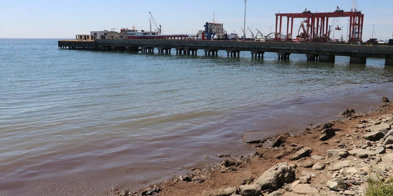 Tekirdağ'da Kuvvetli Rüzgar Nedeniyle Sahilin Bir Kısmına Kırmızı Yosun Birikti