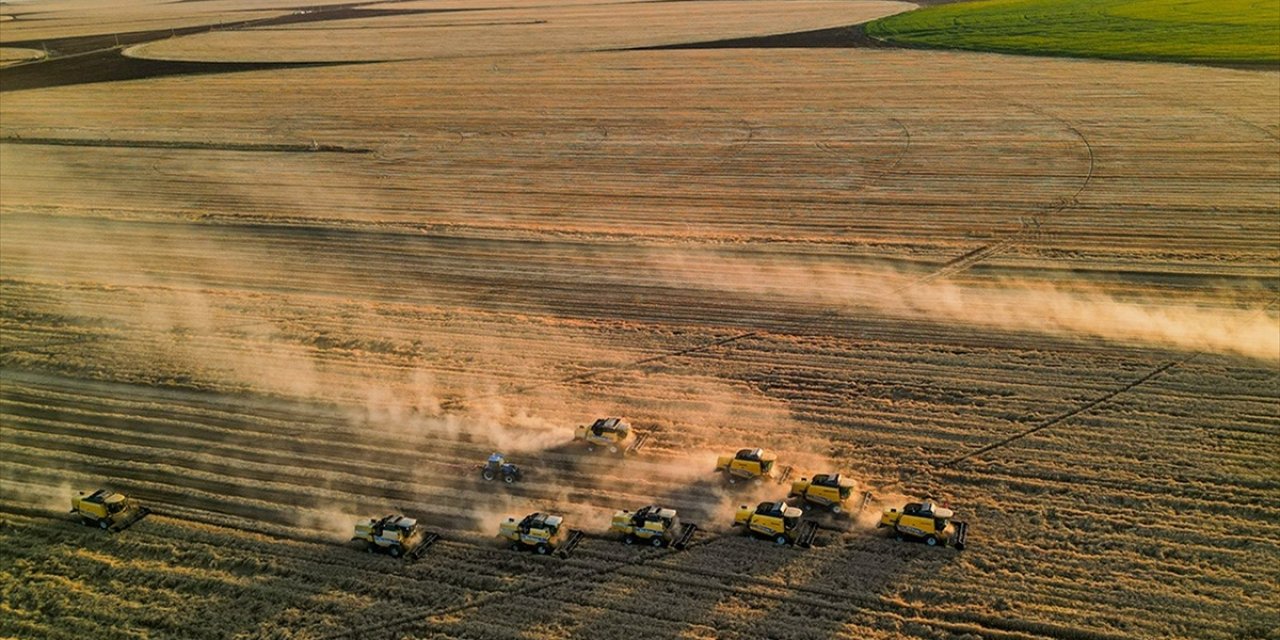 Tarım Üfe Nisanda Aylık Bazda Yüzde 0,45 Azaldı