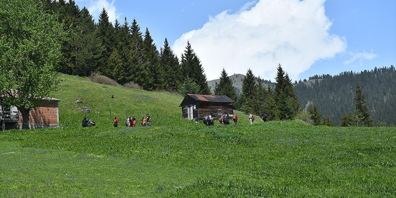Gümüşhane Yaylaları Doğaseverleri Ağırlamaya Başladı