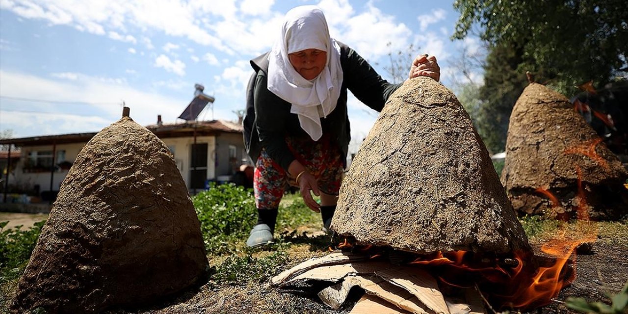 Kırklareli'nde Arıcıların "Oğul Alma" Mesaisi Başladı