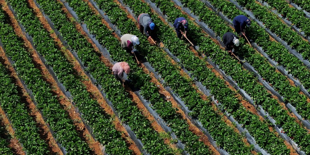 Tarımsal Girdi Fiyat Endeksi Martta Yıllık Yüzde 29,73, Aylık Yüzde 1,8 Arttı