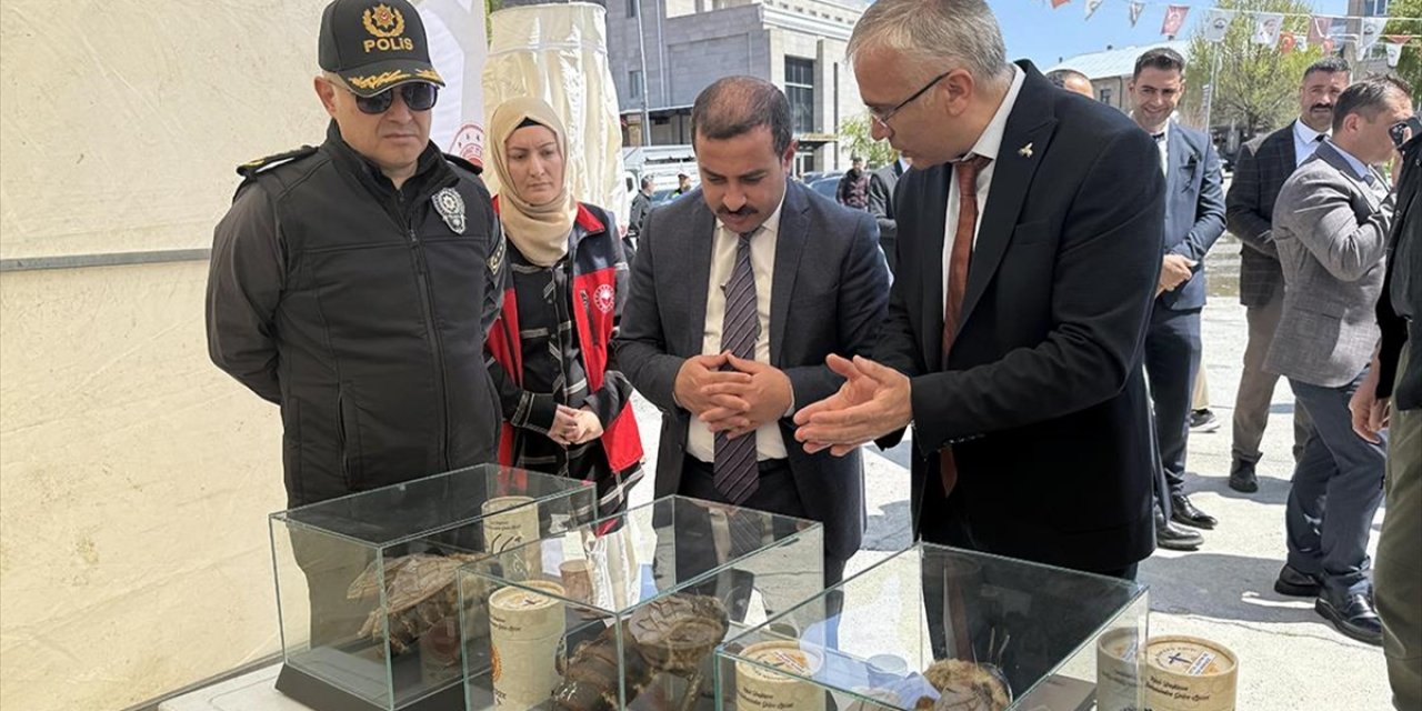 Ardahan'da "Dünya Arı Günü" Etkinliği Düzenlendi