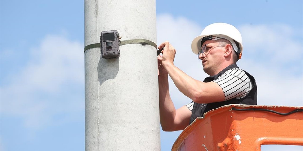 Fotokapanlı Denetimle Çevreyi Kirletenlere Geçit Verilmiyor