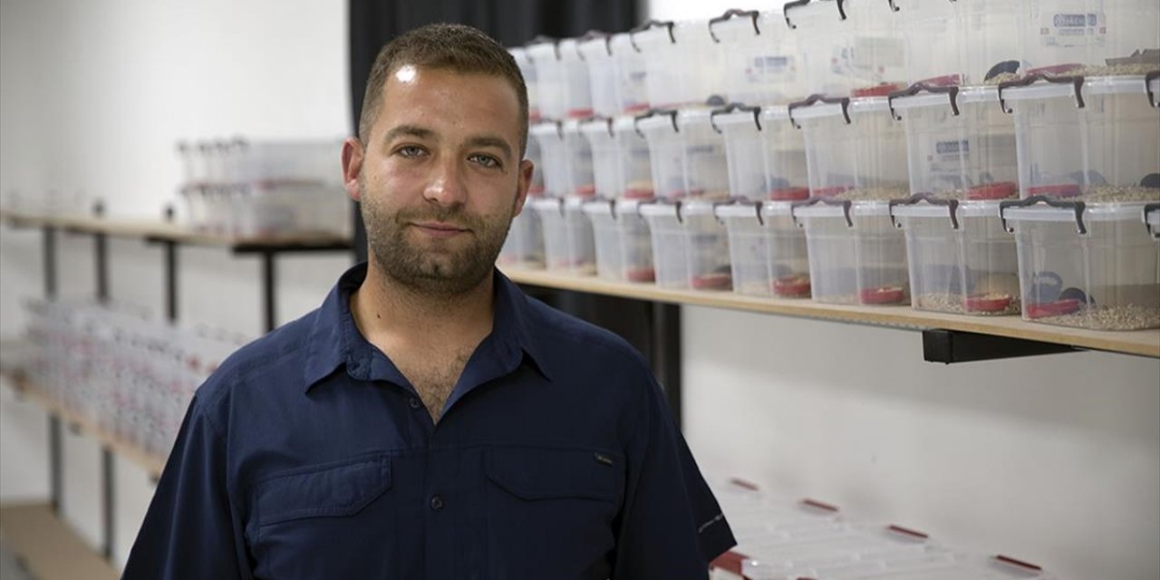 Akrepleri Ofisinde 3 Yıl İnceledikten Sonra "Akrep Zehri Üretim Tesisi" Kurdu