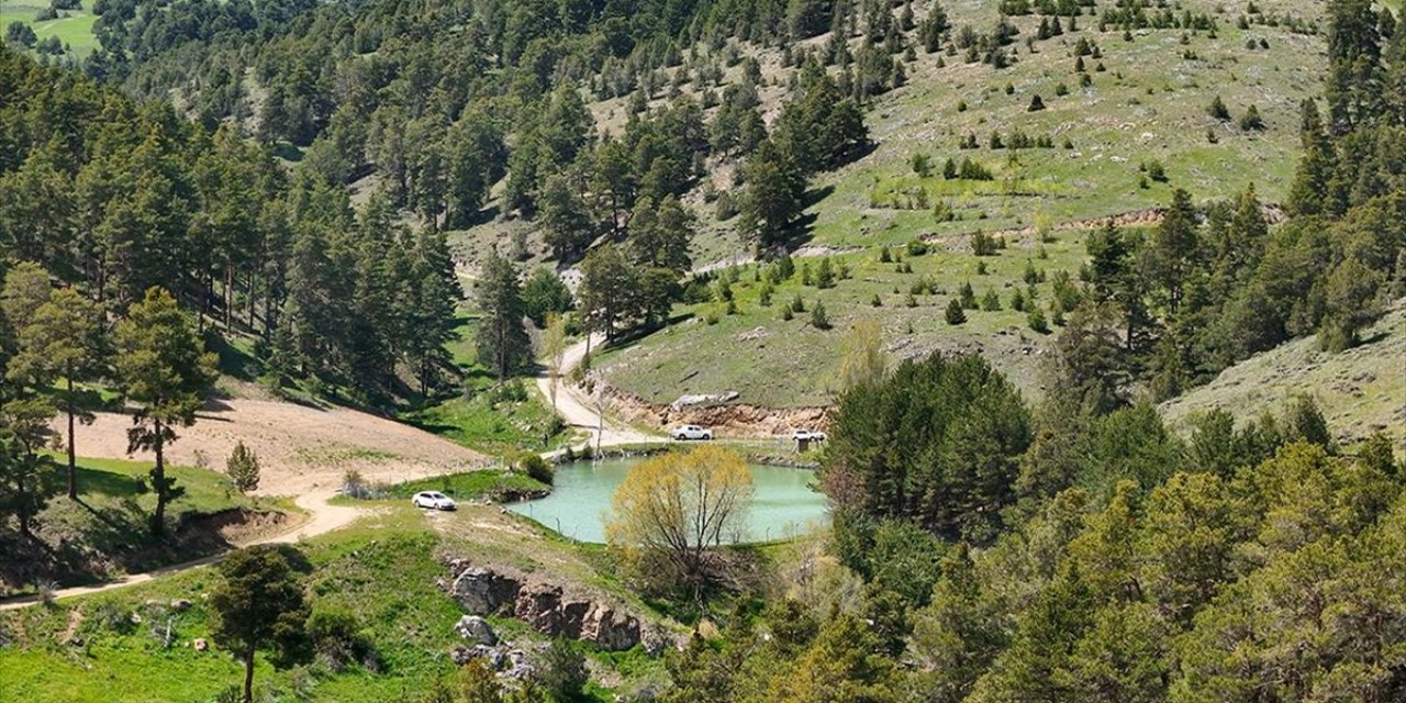 Yozgat'ta 1800 Rakımdaki Çerçialan Göleti Doğaseverleri Ağırlıyor