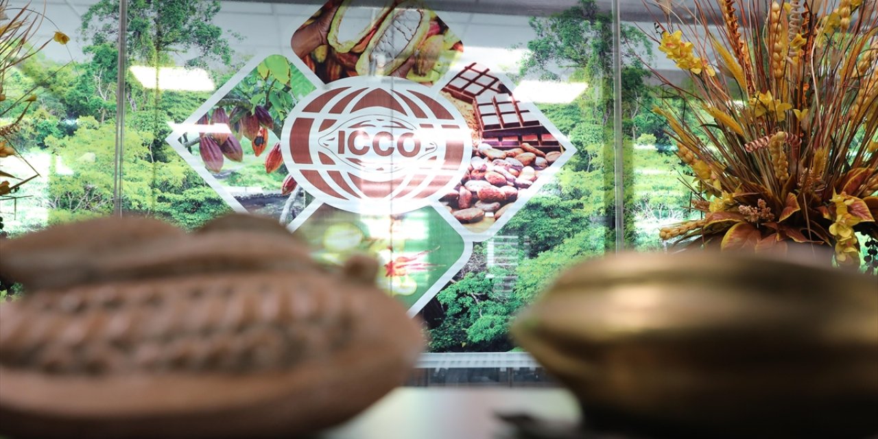 Dünyadaki Kakaonun Yaklaşık Yarısını Üreten Ülke: Fildişi Sahili