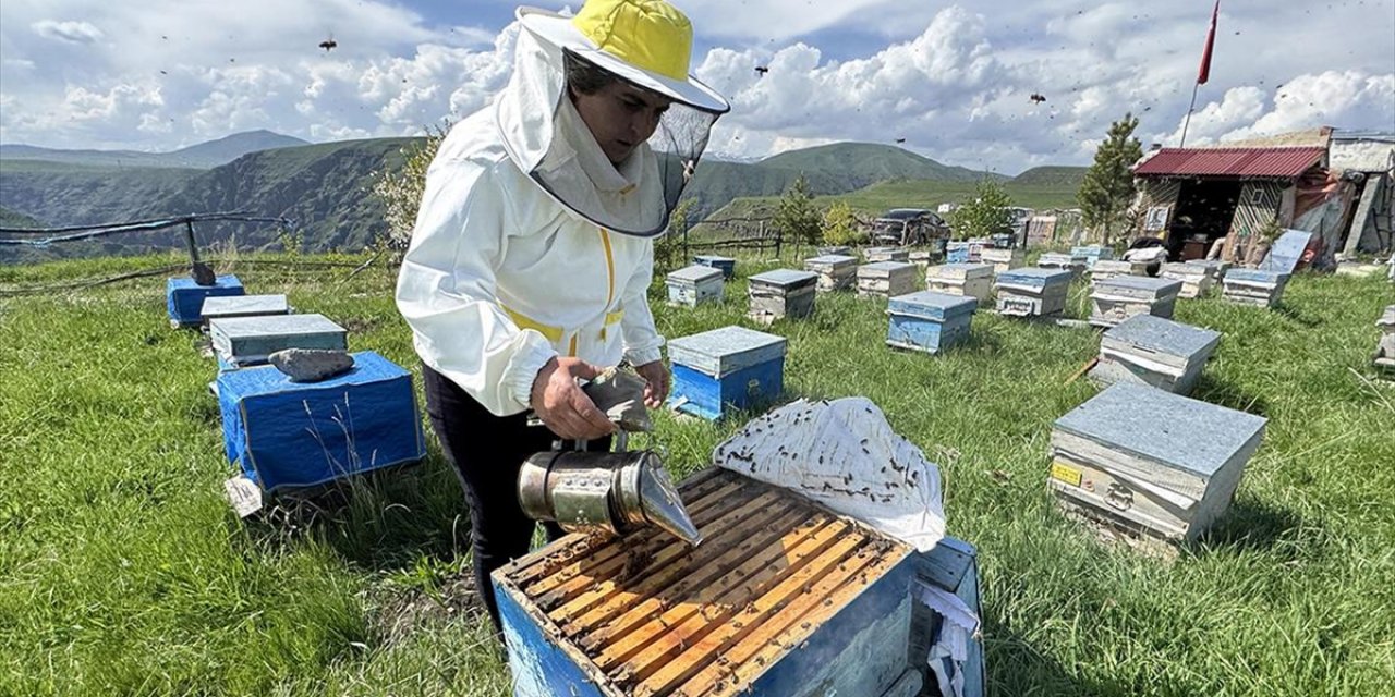 Arıcılık Yapan Kadın Muhtar, Kovan Sayısını 11 Yılda Altıya Katladı