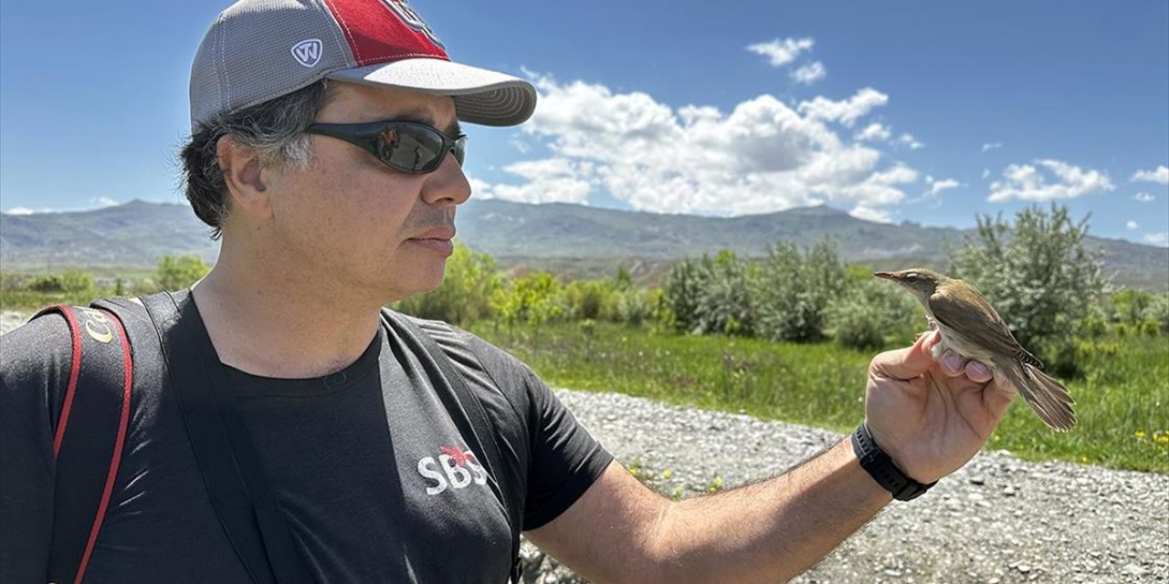 Kıtalararası Göçen 28 Gram Ağırlığındaki Kuş 1 Gramlık Cihazla Takip Edildi