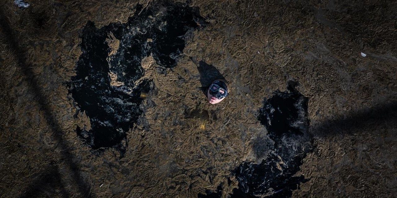 Şahika Ercümen Müsilaja Dikkati Çekmek İçin Marmara'ya Umut Dalışı Yaptı