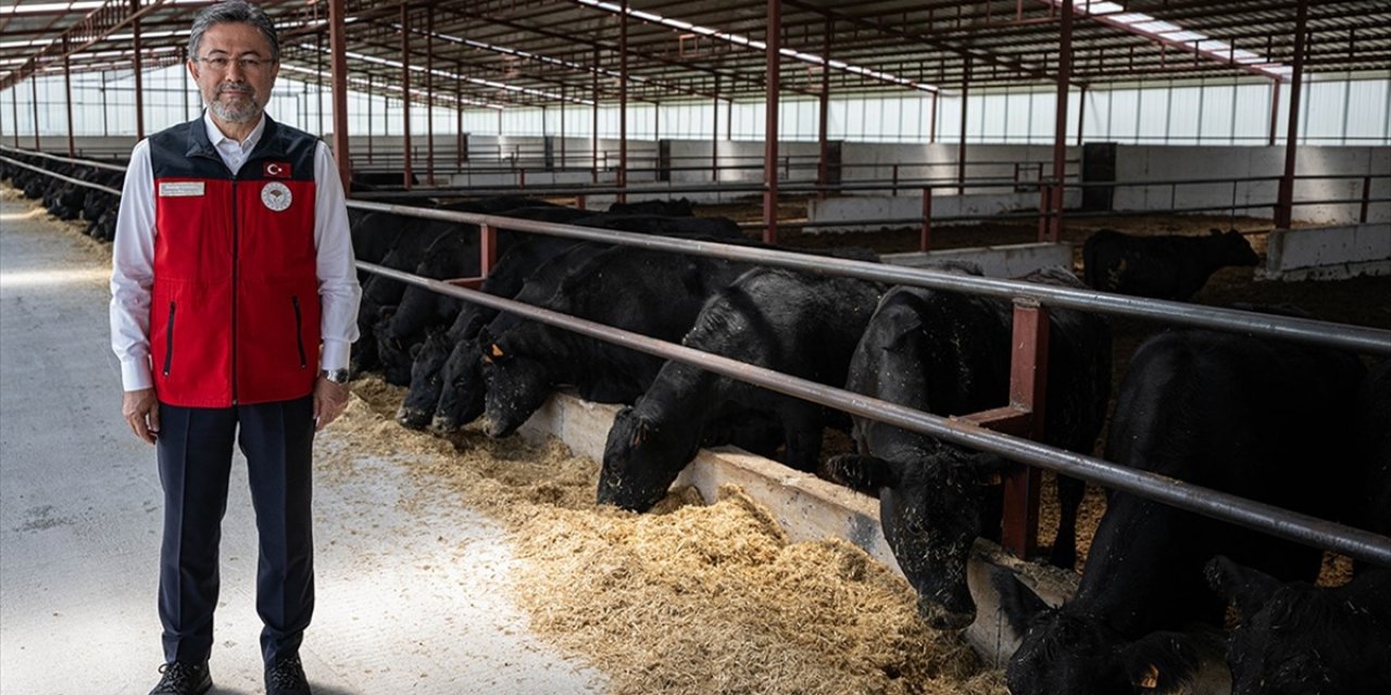 Kırsalda Bereket Hayvancılığa Destek Projesi'nde 4 Bin 351 Hak Sahibi Belirlendi