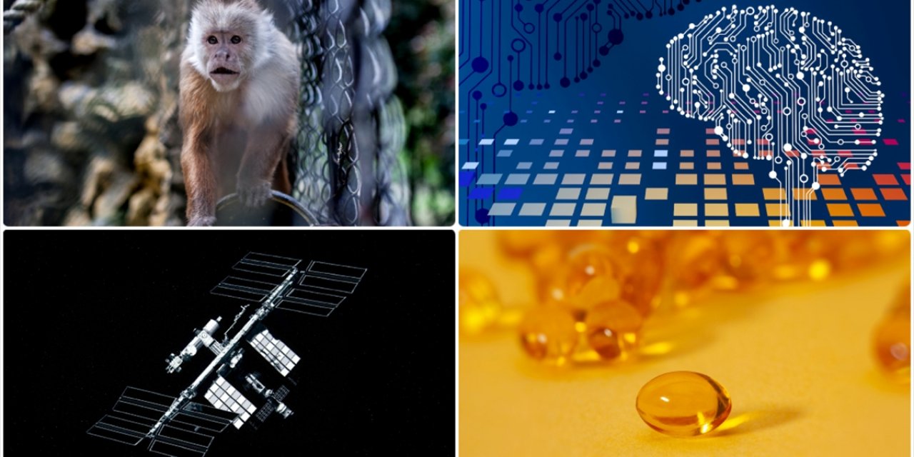 Uzay İstasyonundaki Yeni Mikrop Türünden Fotoğraftan Yaş Analizine Mayısın Bilimsel Gelişmeleri