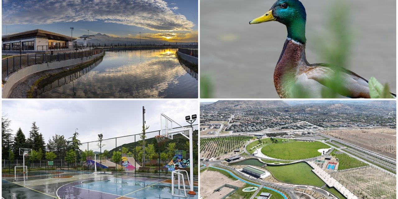 Şehir Merkezleri "Millet Bahçeleri" İle Nefes Buluyor