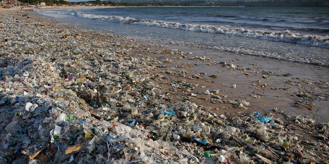 Plastik Atıklar Deniz Canlılarını Olumsuz Etkiliyor