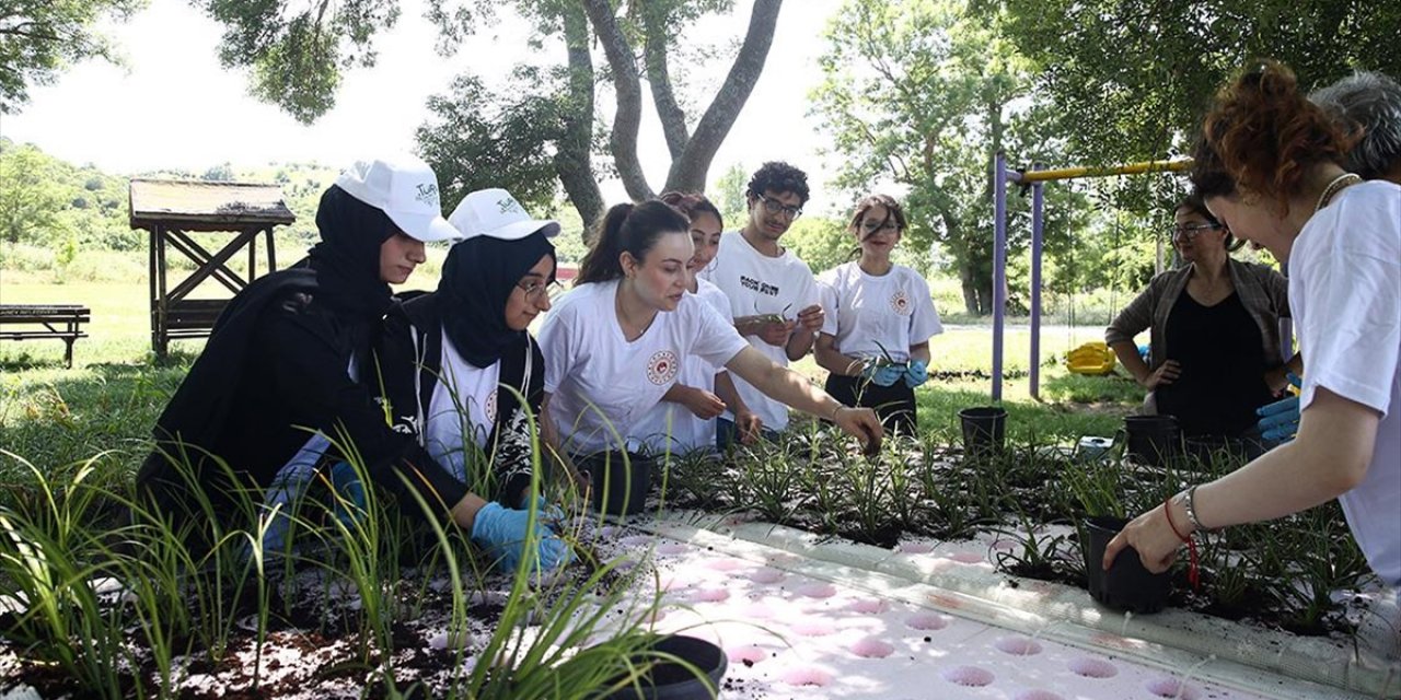 Marmara Denizi'ndeki Kirliliği Önlemek Amacıyla Çapraz Çayı'na "Yüzer Bitki Adaları" Yerleştirildi