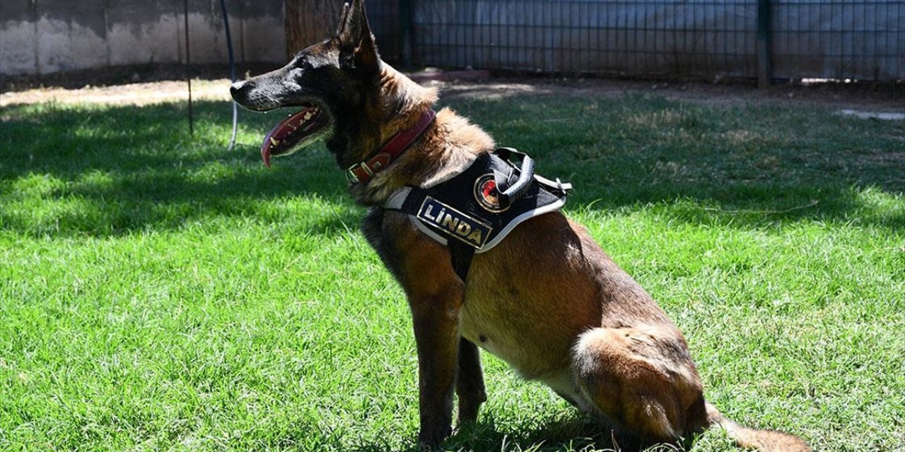 Batman'da Görev Yapan Hassas Burun "Linda" Emekli Oldu