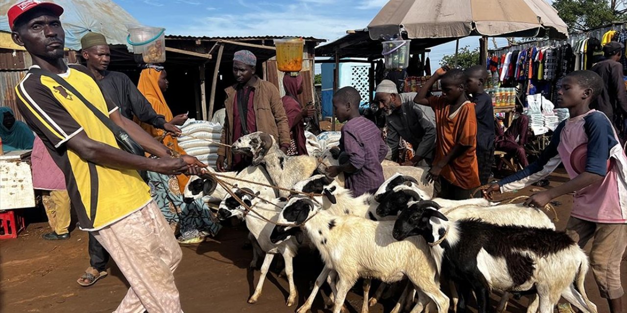Nijer'in Ecowas'tan Ayrılması Nijerya'daki Kurbanlık Fiyatlarını Vurdu