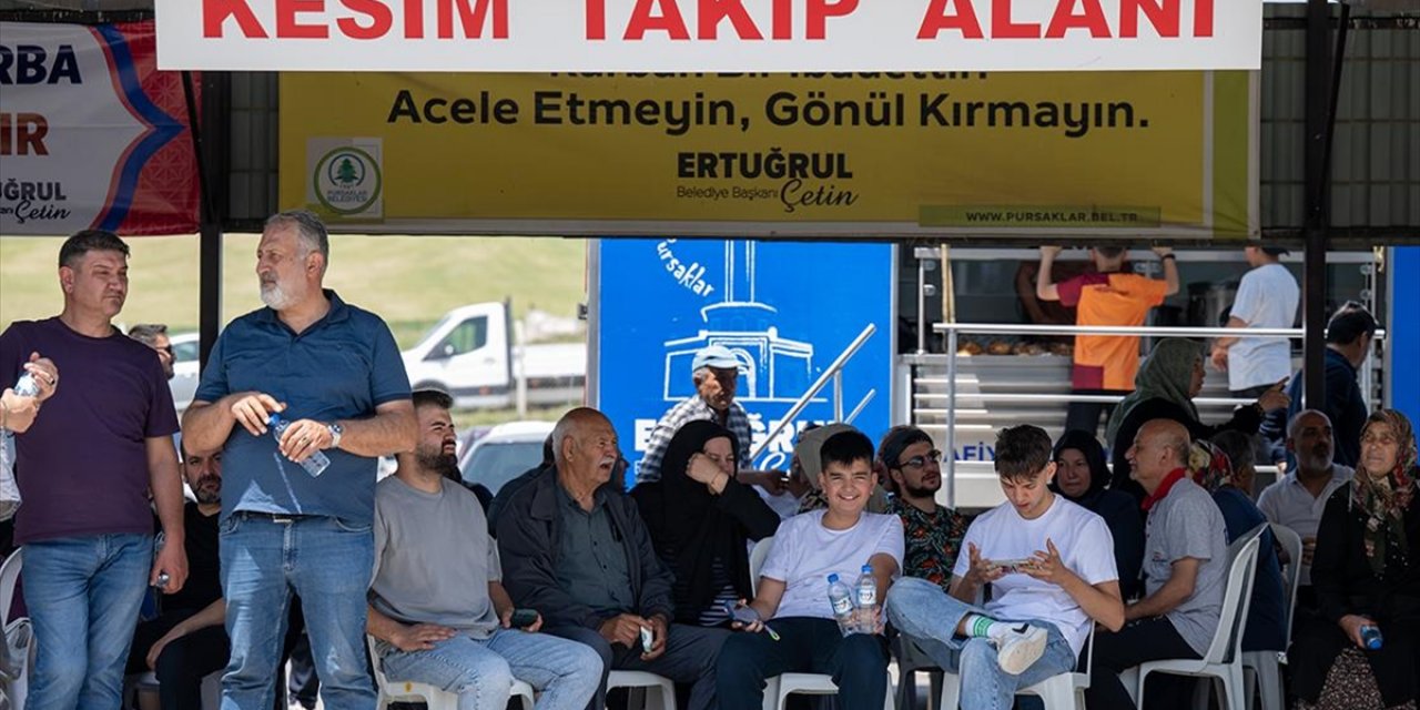 Ankara'da Kurban Pazarı ve Kesimhanelerde Yoğunluk Yaşanıyor