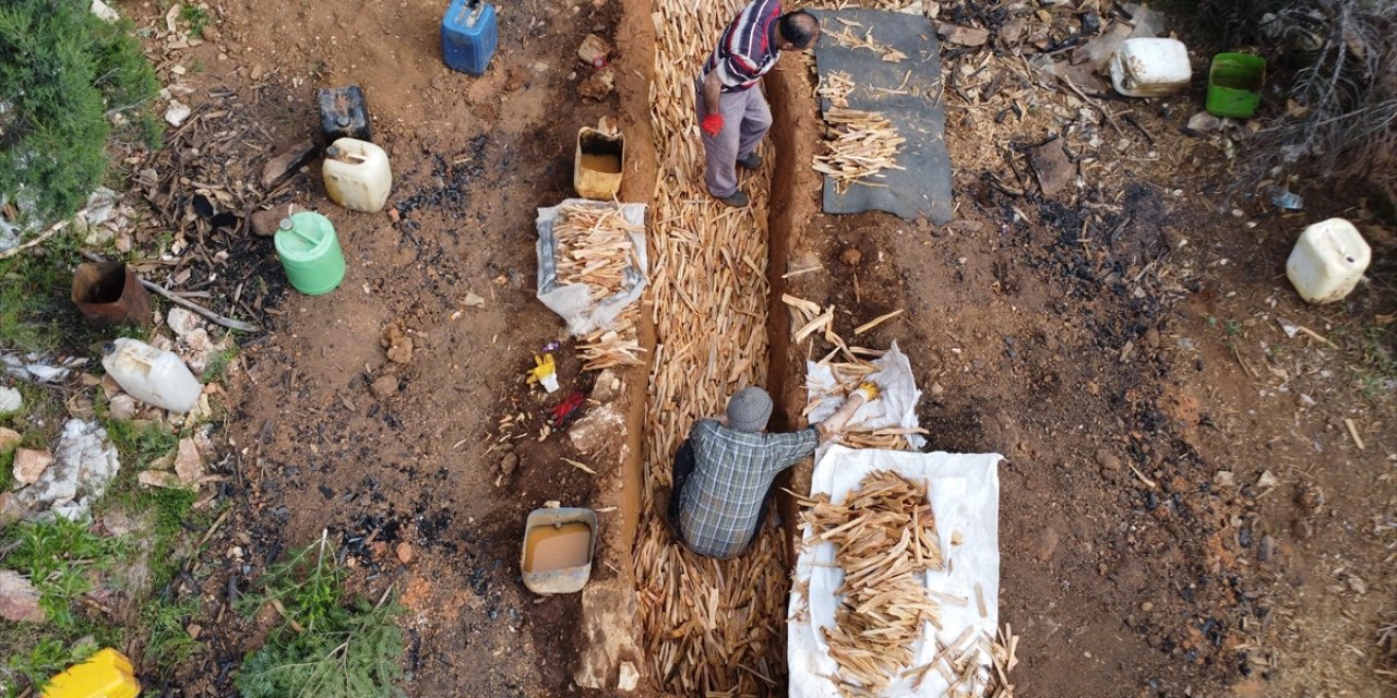 Antalya'da Geleneksel Yöntemlerle Sedir Katran Yağı Üretiliyor