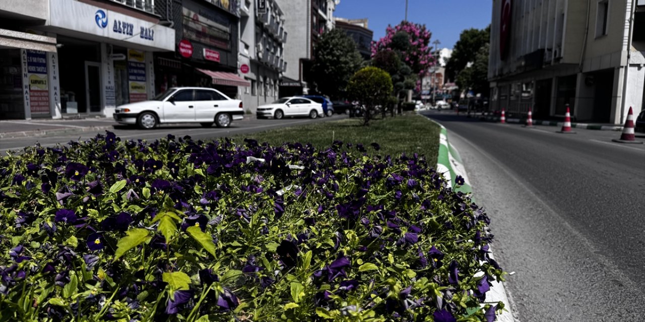 Kent Peyzajı İklim Değişikliğinde Etken Rol Oynuyor