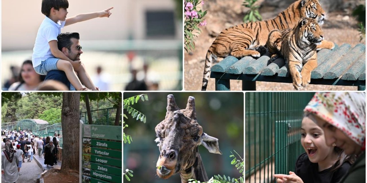 Gaziantep Doğal Yaşam Parkı, Bayramda Yaklaşık 90 Bin Kişiyi Ağırladı