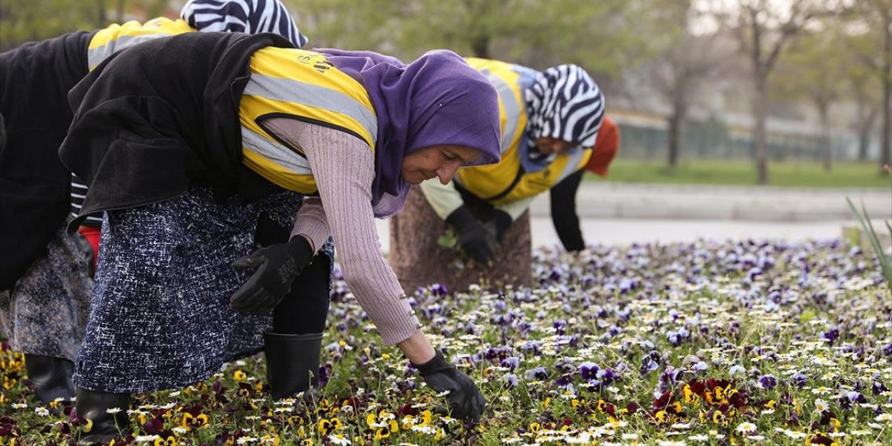Samsun'da Atıkların Geri Dönüşümüyle Yılda 66 Bin Ağacın Kesilmesi Önleniyor