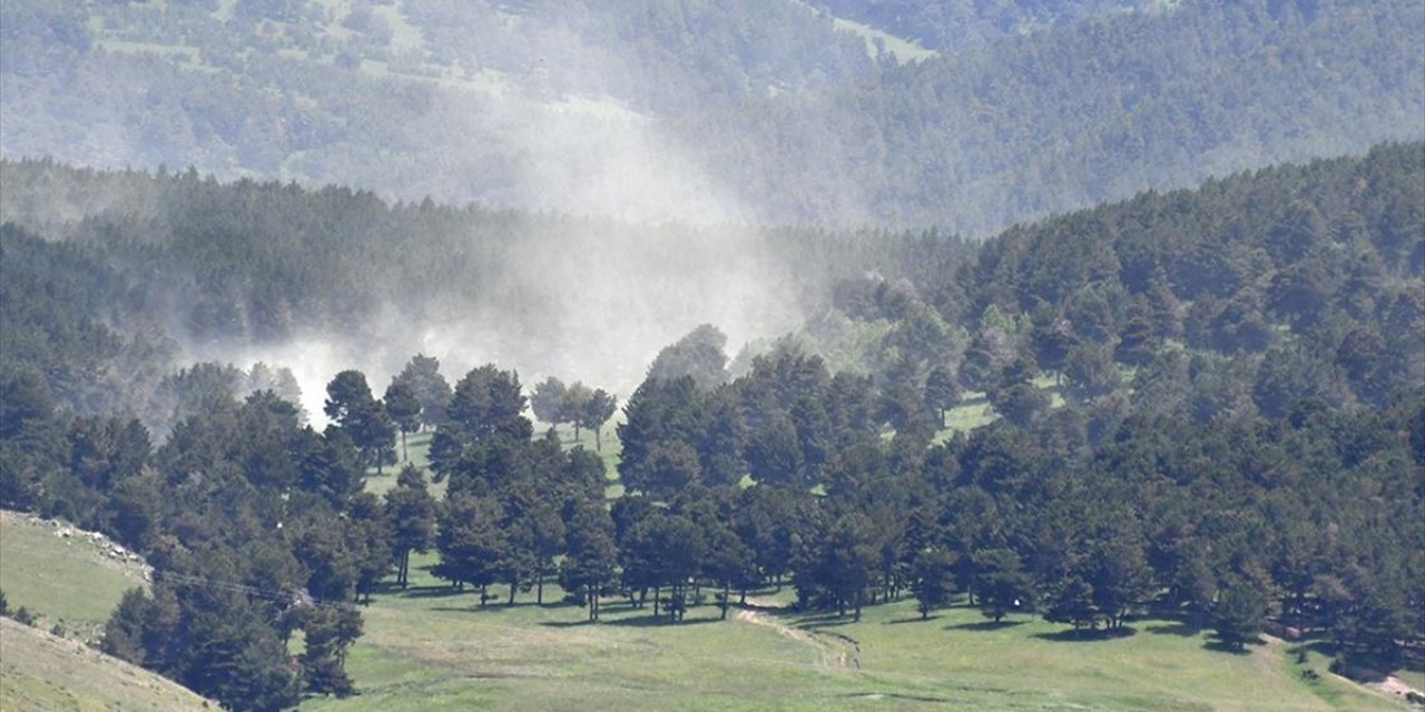 Kars'ta Polen Yoğunluğu Oluştu