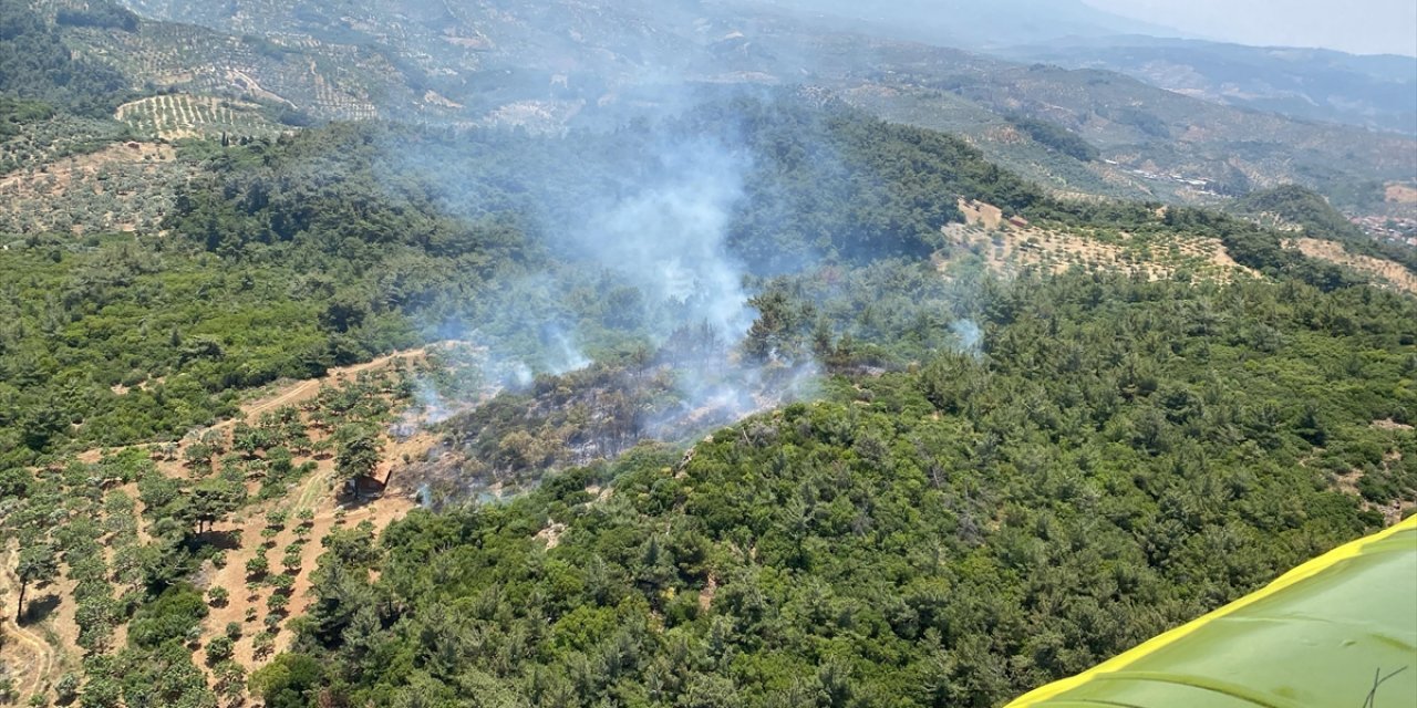 Aydın'ın Germencik İlçesinde Ormanlık Alanda Yangın Çıktı