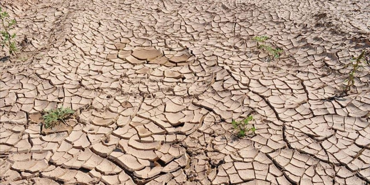 Kuraklık 2050 Yılına Kadar 1 Milyar Kişiyi Göç Ettirebilir