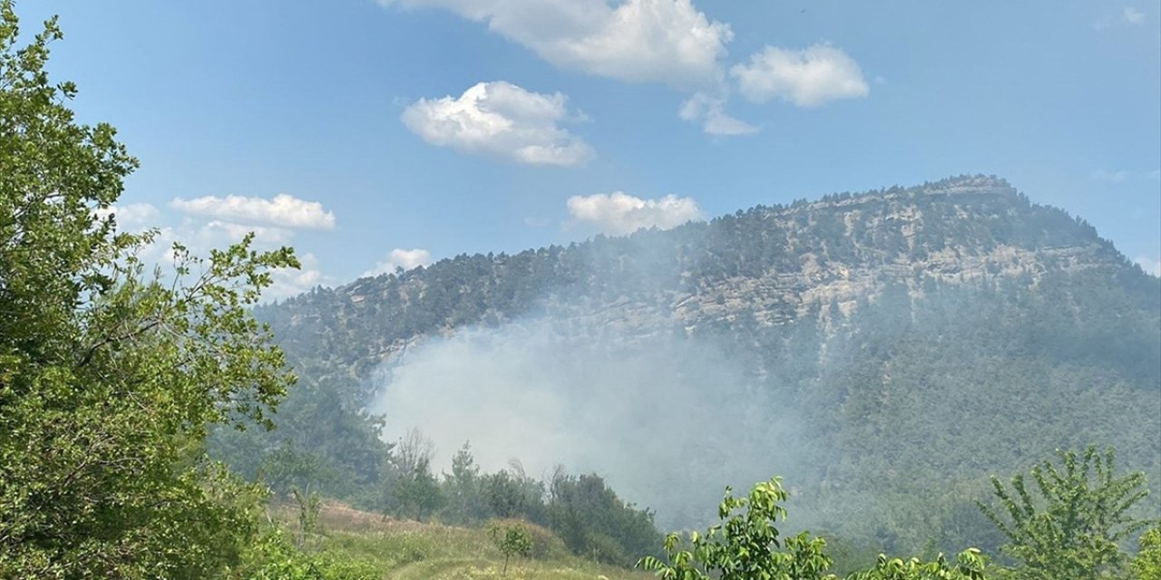 Bilecik'te Çıkan Orman Yangını Söndürüldü