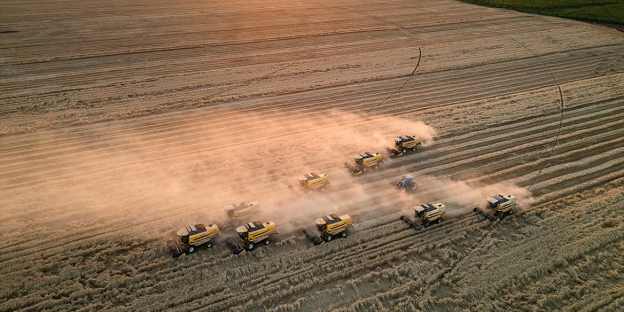 Tarım Üfe Mayısta Aylık Bazda Yüzde 0,23 Arttı