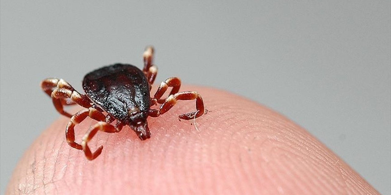 Sivas'ta KKKA Hastalığı Şüphesiyle Tedavi Gören Kişi Öldü