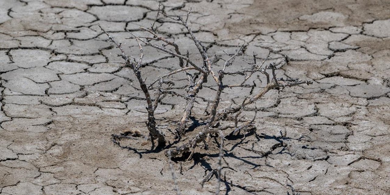 Oecd: Kuraklığın İnsani ve Ekonomik Maliyeti Keskin Şekilde Artıyor