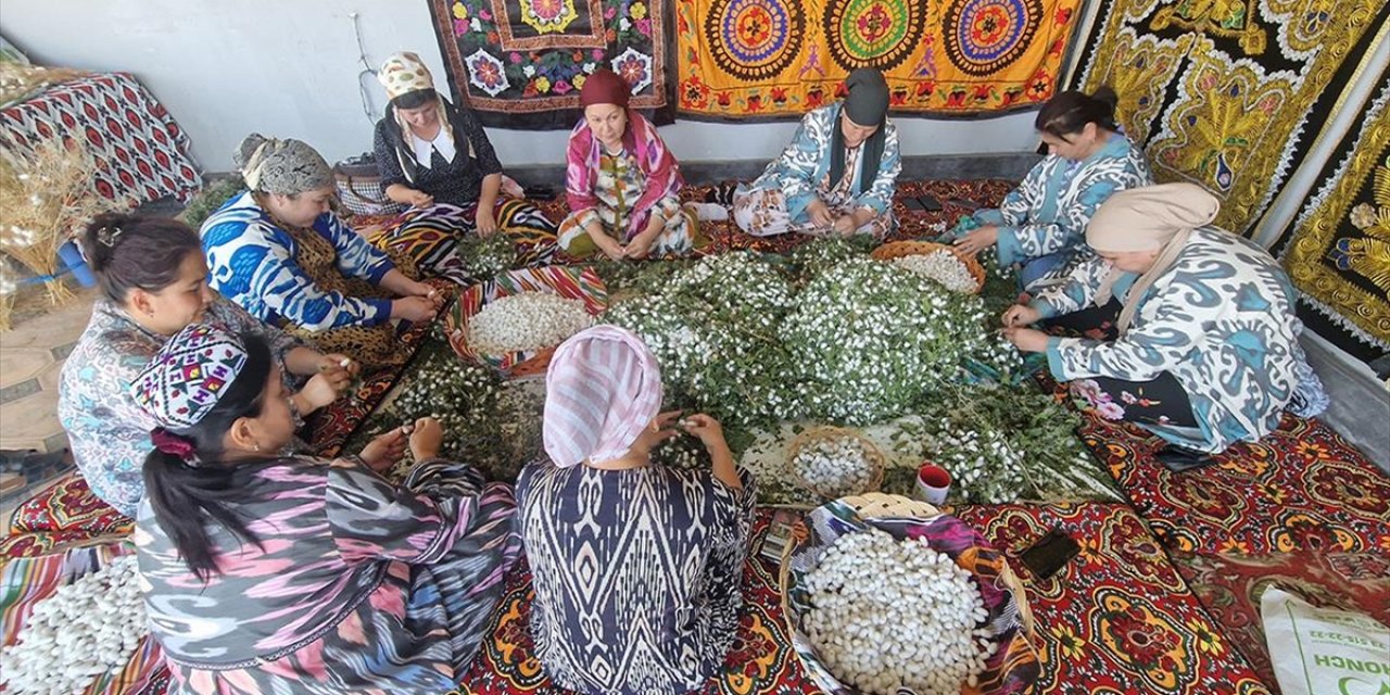 Özbekistan'da Ev Kadınlarına İpek Böceği Yetiştiriciliği İle İstihdam Sağlanıyor