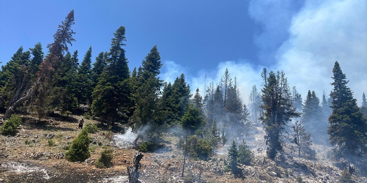 Mersin'de Çıkan Orman Yangınına Müdahale Ediliyor