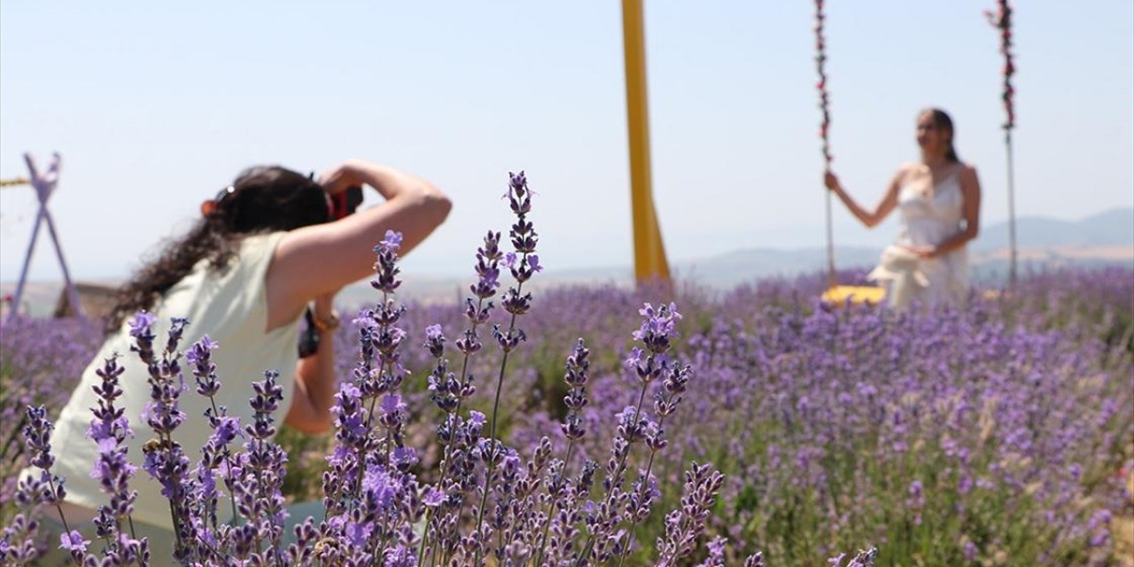 Tekirdağ'da Lavanta Tarlaları Fotoğraf Tutkunlarını Ağırlıyor