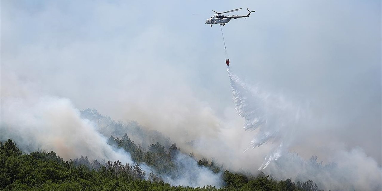 Türkiye'de Orman Yangınları İçin Riskli Döneme Giriliyor
