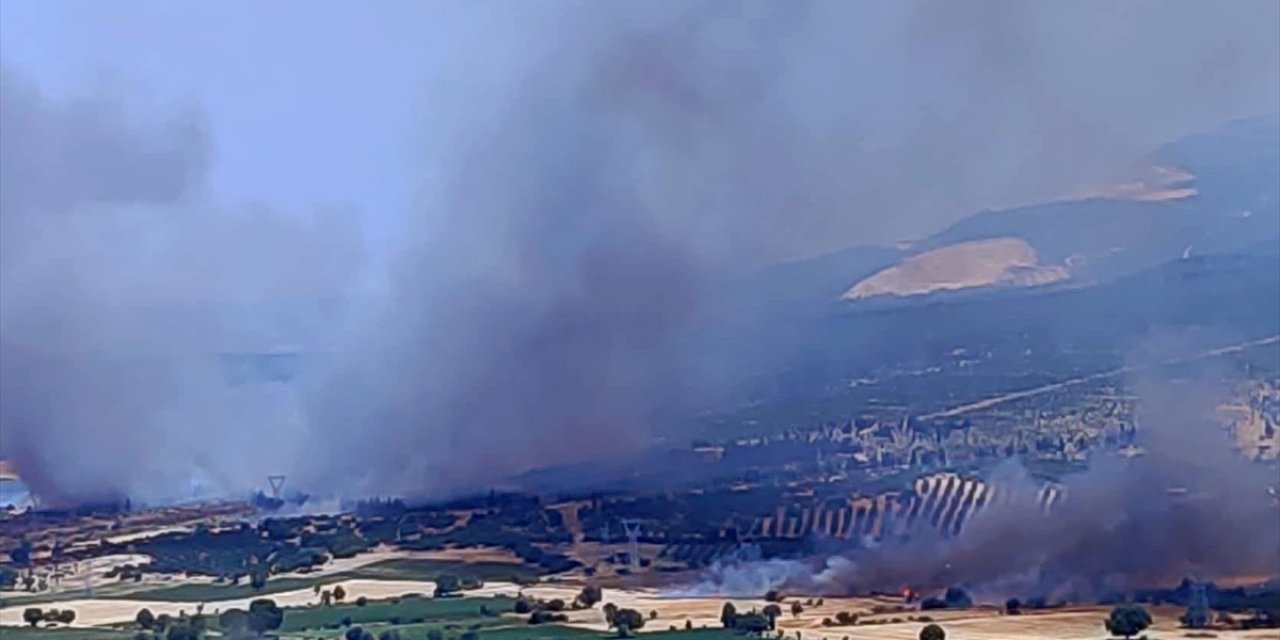 İzmir'de Çıkan Orman Yangınına Müdahale Ediliyor