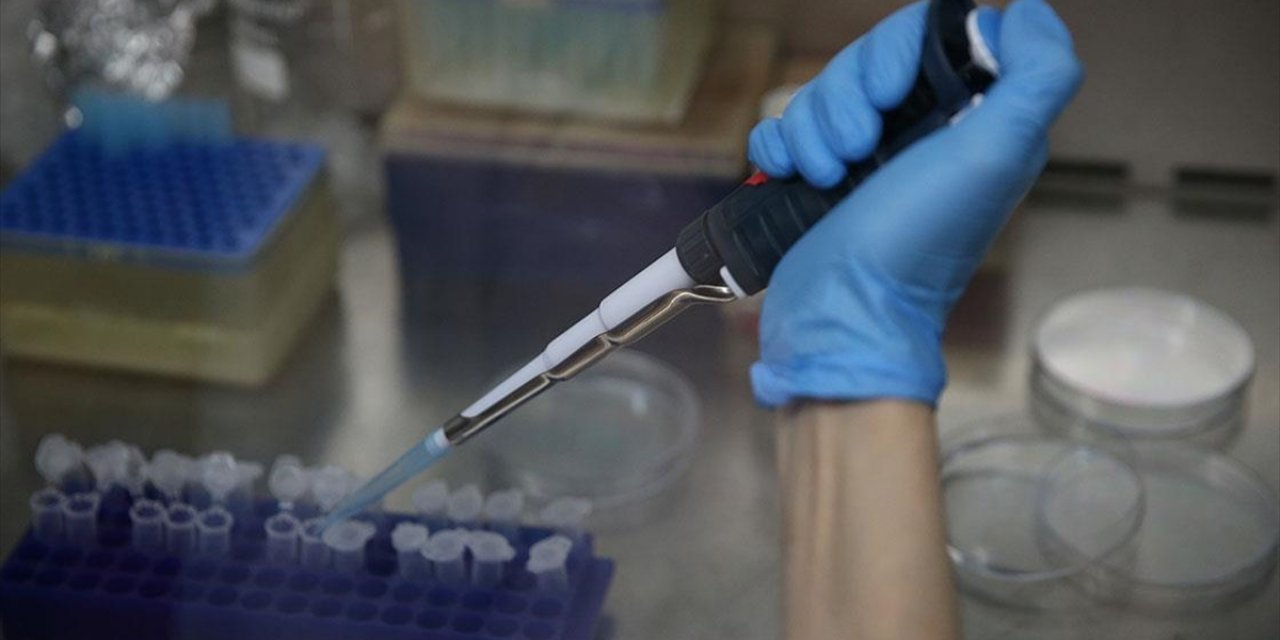 Kkka Aşısının Klinik Öncesi Çalışmalarının Eylüle Kadar Bitirilmesi Planlanıyor