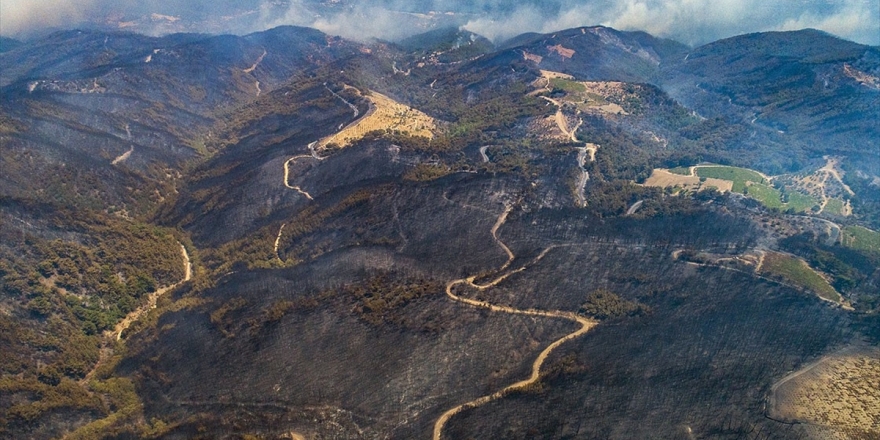 Bu Yıl Orman Yangınlarında 5 Bin Hektar Alan Zarar Gördü