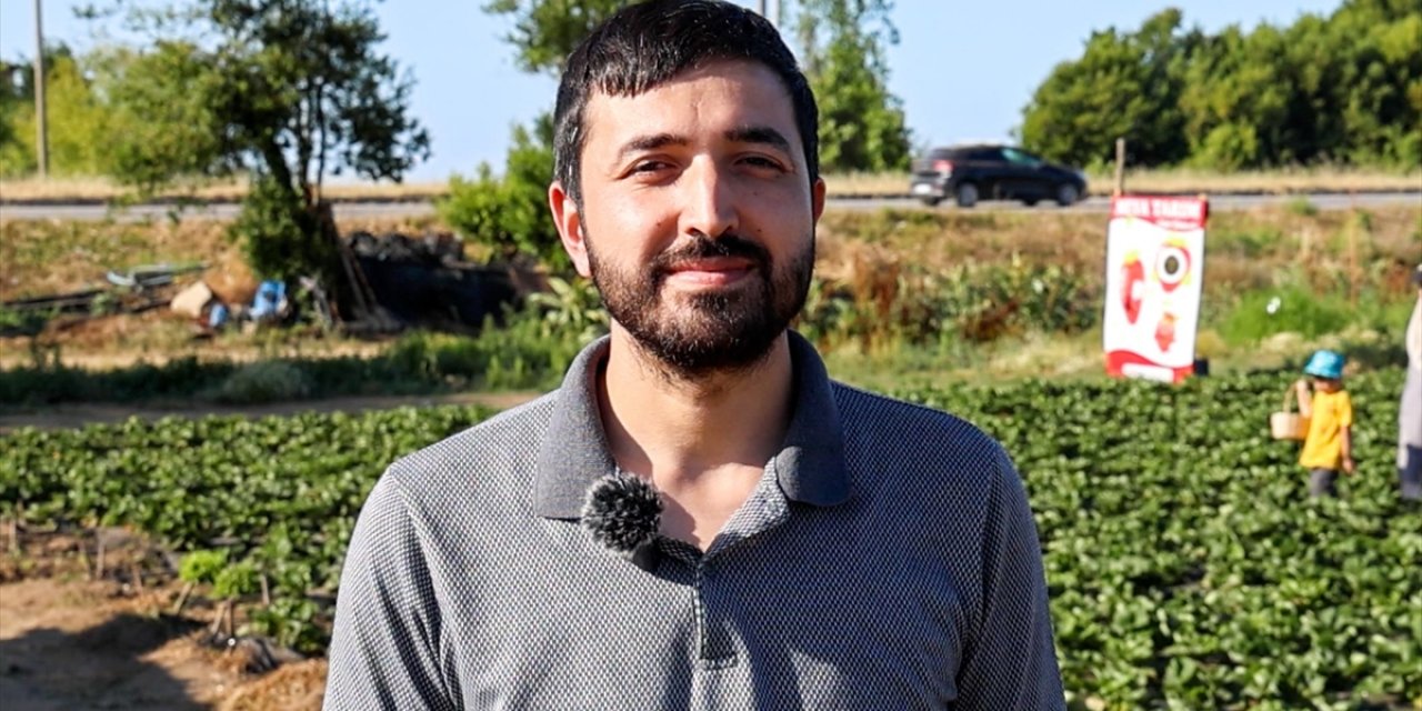 Otomasyon Mühendisi, Babasına Yardım Amacıyla Başladığı Çiftçilikte Organik Çilek Üretiyor