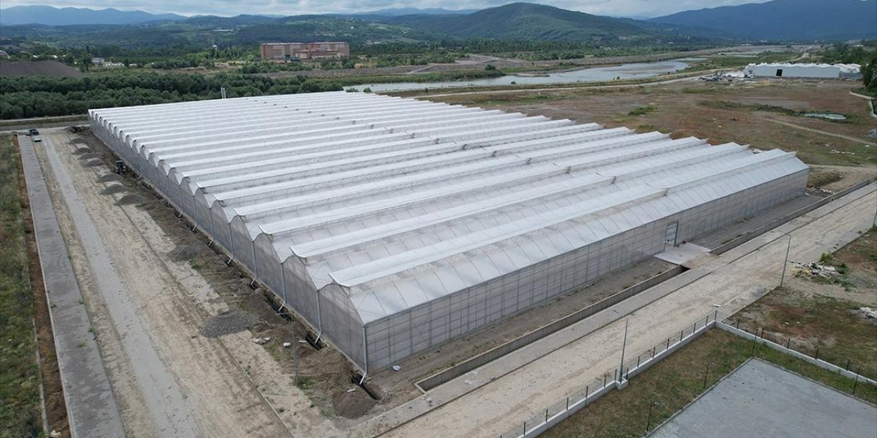 Zonguldak'taki Sera Organize Tarım Bölgesi Ülke Ekonomisine Yıllık 750 Milyon Lira Katkı Verecek